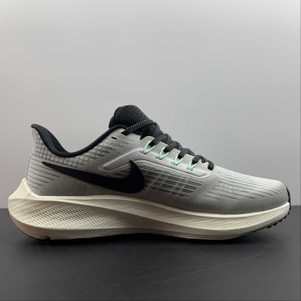 Nike Air Zoom Pegasus 39